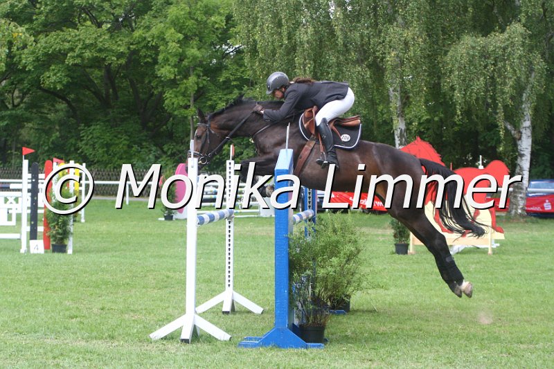 308M9830_La Roma_Spring_L.JPG